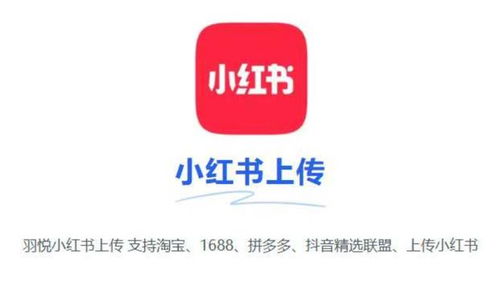 羽悦小红书上货软件 五大核心商品管理功能深度解析，赋能品牌高效运营
