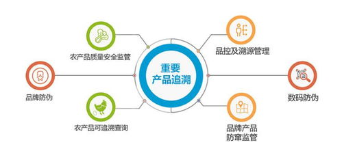 追溯系统 推动企业品牌产品管理规范化与全阶段监督管控的关键路径