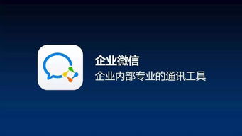 孙懿 99公益日抱团成长,信息化助力突破行业两大瓶颈